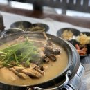 산골견과
