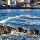 부흥해수욕장 이미지