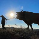 우림목장 이미지