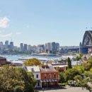 시드니힐 이미지