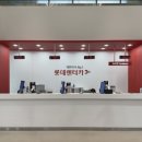 오렌터카 | 제주도 렌터카 고민 끝! 롯데렌터카 + 유플러스 할인으로 이용한 후기