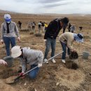 월포초등학교 이미지