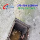 경희약선제한의원 이미지