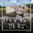 광수농장 | 콩콩팜팜 건준목장 어디? 제주 촬영지 요거트까지 정리