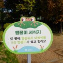 현신6길 이미지