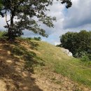 빈스브루 이미지