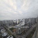 씨티21공인중개사사무소 이미지