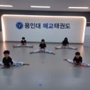 튼튼한 용인대 태권도장 이미지