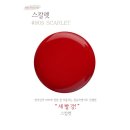 스칼렛로즈 이미지