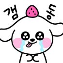 청주청과