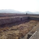 서해황금들녘길 이미지