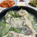 서울 삼계탕 | [중구/을지로3가] 을지로 삼계탕 전문점 서울삼계탕 내돈내산 후기