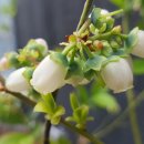 건양농장 이미지