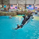 아쿠아산소사우나 | 아이와 전북가볼만한곳 : 가성비 워터파크 김제 &#39;쿰다스파랜드&#39; 할인 팁