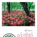 내마음의여행 이미지
