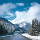 밴프 야영장 이미지