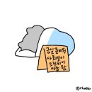 5월-6월 발리 2주 여행기 1탄 🤿