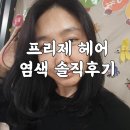 양정미용실 프리제 서면점 새치커버 염색 솔직 후기