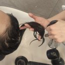 4859 | [에이바헤어 망원점] 망원역 미용실 클리닉 후기