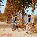 고궁 연못 / 사월과 오월 (1973) 이미지