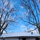 삼거마을회관 | 지리산 서북능선 첫 눈 눈꽃산행