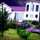 박문수 펜션 이미지