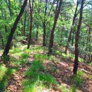 화봉산성 이미지