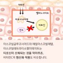 미백화장품 - 노원구 동일로180길 17 | 미백화장품