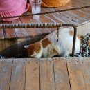 방계1길 이미지