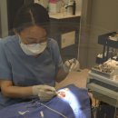 서울안아프게치과의원 이미지