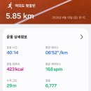 반고 | “벚꽃엔딩런 벚꽃 러닝 인증샷” 5.85km 여의도 ‘반고구마 코스’ 러닝 후기
