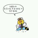소다미 이미지