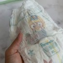 여름 아기기저귀 고민 끝! 팸퍼스 터치오브네이처 썸머 솔직 후기