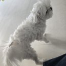 멍언니쌀롱