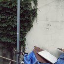 경암주유소 이미지