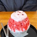 스카이웨이 이미지