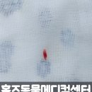 홈즈 동물병원 이미지