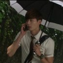 마이즈헤어 이미지