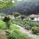 [강원도 화천군] 삼일계곡