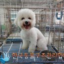 갈현로29길 이미지