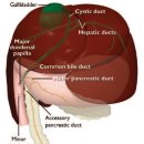 울산에스동물메디컬센터 이미지