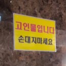 유진카