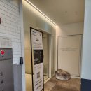 시우헤어 | 을지로 명동 남자머리,회사원머리 커트 맛집, 준오헤어 명동예술극장점 시우 디자이너 추천 후기