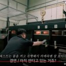 스테이너와