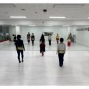 벨리댄스(취미) 이미지