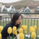 롯데쇼핑프리미엄아울렛타임빌라스