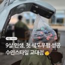 교대역 미용실 어린이 쉐도우펌 수인스타일 교대점, 9살 첫 파마 성공 후기 (최선 실장)