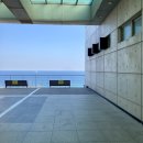 프랭크버거 동해쇄운점 이미지