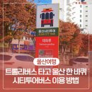 트롤리버스 타고 울산 한 바퀴! 시티투어버스 이용 방법