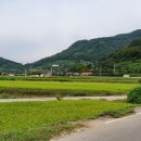 옥룡면사무소 이미지